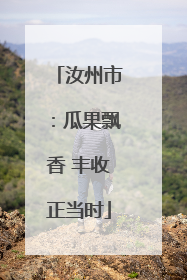 汝州市：瓜果飘香 丰收正当时