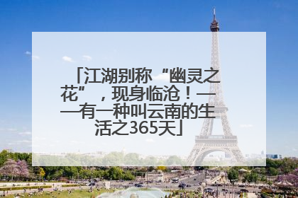 江湖别称“幽灵之花”，现身临沧！——有一种叫云南的生活之365天