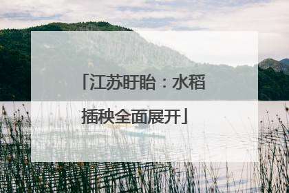 江苏盱眙：水稻插秧全面展开