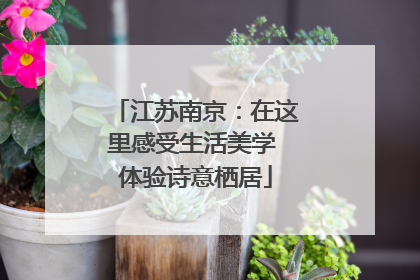 江苏南京：在这里感受生活美学 体验诗意栖居