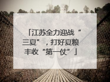 江苏全力迎战“三夏”，打好夏粮丰收“第一仗”