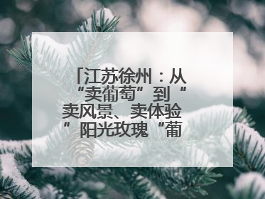 江苏徐州：从“卖葡萄”到“卖风景、卖体验”阳光玫瑰“葡”就致富路