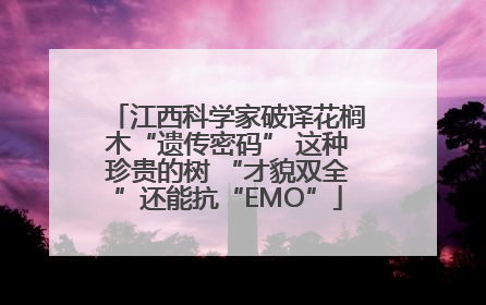 江西科学家破译花榈木“遗传密码” 这种珍贵的树 “才貌双全”还能抗“EMO”