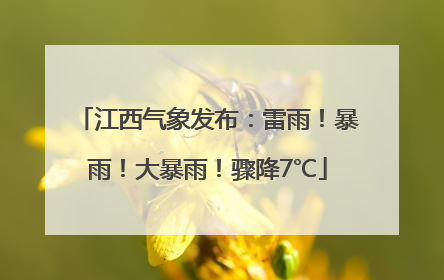 江西气象发布：雷雨！暴雨！大暴雨！骤降7℃
