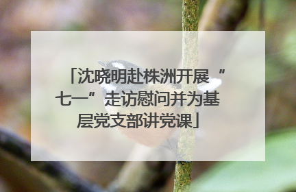 沈晓明赴株洲开展“七一”走访慰问并为基层党支部讲党课