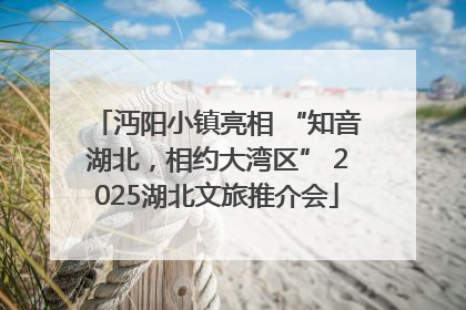 沔阳小镇亮相 “知音湖北，相约大湾区” 2025湖北文旅推介会