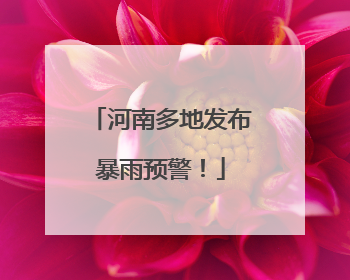 河南多地发布暴雨预警！