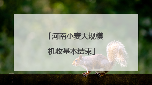河南小麦大规模机收基本结束