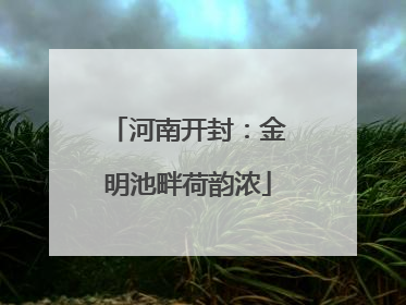 河南开封：金明池畔荷韵浓