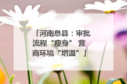 河南息县：审批流程“瘦身” 营商环境“增温”