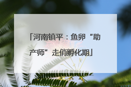 河南镇平：鱼卵“助产师”走俏孵化期