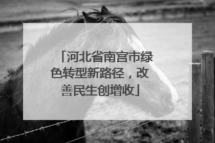 河北省南宫市绿色转型新路径，改善民生创增收