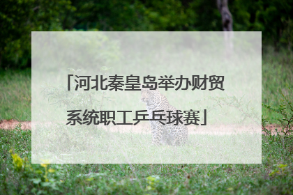 河北秦皇岛举办财贸系统职工乒乓球赛