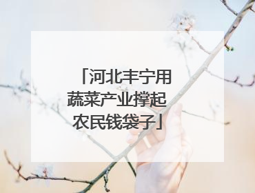 河北丰宁用蔬菜产业撑起农民钱袋子