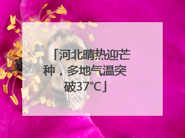 河北晴热迎芒种，多地气温突破37℃