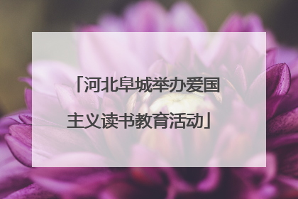 河北阜城举办爱国主义读书教育活动