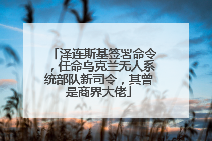 泽连斯基签署命令，任命乌克兰无人系统部队新司令，其曾是商界大佬