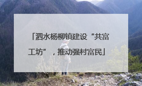 泗水杨柳镇建设“共富工坊”，推动强村富民