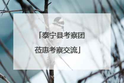 泰宁县考察团莅惠考察交流