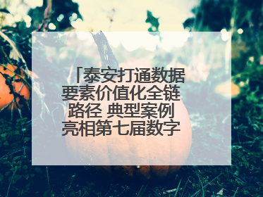 泰安打通数据要素价值化全链路径 典型案例亮相第七届数字中国建设峰会