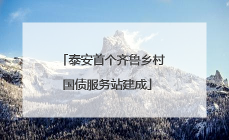 泰安首个齐鲁乡村国债服务站建成