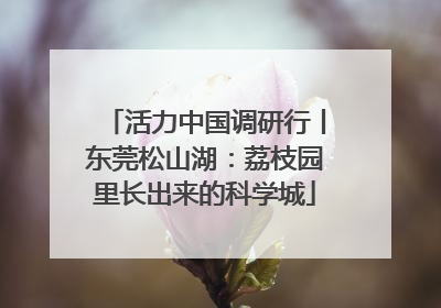 活力中国调研行丨东莞松山湖：荔枝园里长出来的科学城