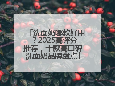 洗面奶哪款好用？2025高评分推荐，十款高口碑洗面奶品牌盘点