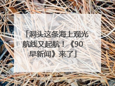 洞头这条海上观光航线又起航！《90早新闻》来了
