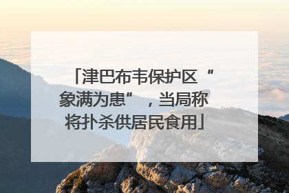 津巴布韦保护区“象满为患”，当局称将扑杀供居民食用