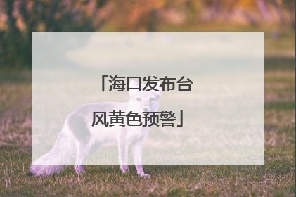 海口发布台风黄色预警