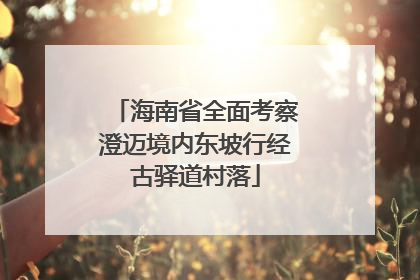 海南省全面考察澄迈境内东坡行经古驿道村落