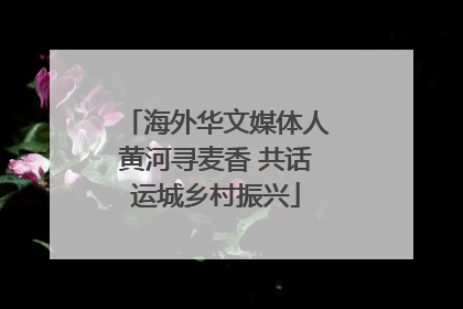 海外华文媒体人黄河寻麦香 共话运城乡村振兴