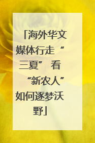 海外华文媒体行走“三夏” 看“新农人”如何逐梦沃野