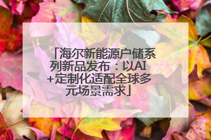 海尔新能源户储系列新品发布：以AI+定制化适配全球多元场景需求