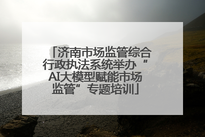 济南市场监管综合行政执法系统举办“AI大模型赋能市场监管”专题培训