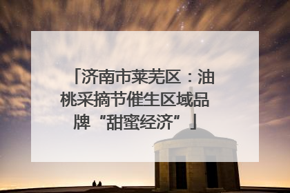 济南市莱芜区：油桃采摘节催生区域品牌“甜蜜经济”
