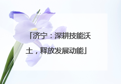 济宁：深耕技能沃土，释放发展动能
