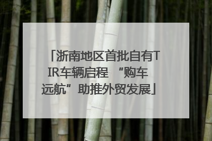 浙南地区首批自有TIR车辆启程 “购车远航”助推外贸发展