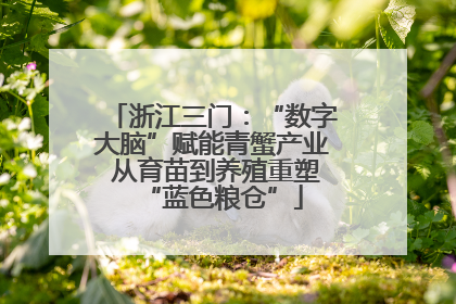 浙江三门：“数字大脑”赋能青蟹产业 从育苗到养殖重塑“蓝色粮仓”