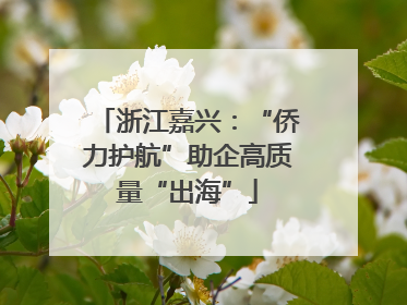浙江嘉兴：“侨力护航”助企高质量“出海”