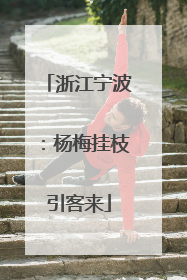 浙江宁波：杨梅挂枝引客来