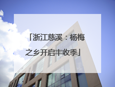 浙江慈溪：杨梅之乡开启丰收季