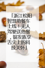 浙江松阳智慧助餐车上线！无人驾驶送热餐，银发族享舌尖上的科技关怀