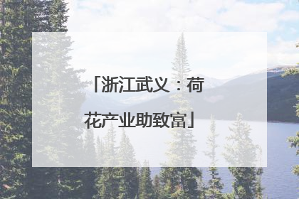 浙江武义：荷花产业助致富