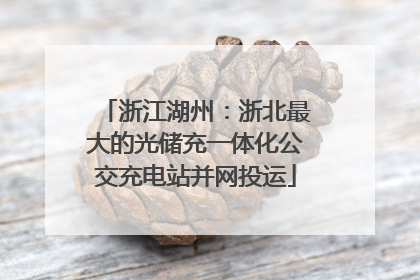 浙江湖州：浙北最大的光储充一体化公交充电站并网投运