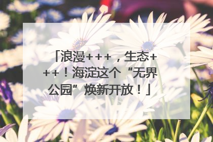 浪漫+++，生态+++！海淀这个“无界公园”焕新开放！