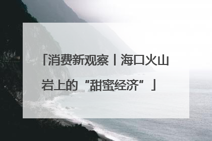 消费新观察丨海口火山岩上的“甜蜜经济”
