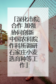 深化市院合作 加强协同创新 中国农科院作科所调研石家庄小麦选育种等工作