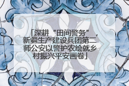 深耕“田间警务”，新疆生产建设兵团第二师公安以警护农绘就乡村振兴平安画卷