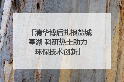 清华博后扎根盐城亭湖 科研热土助力环保技术创新
